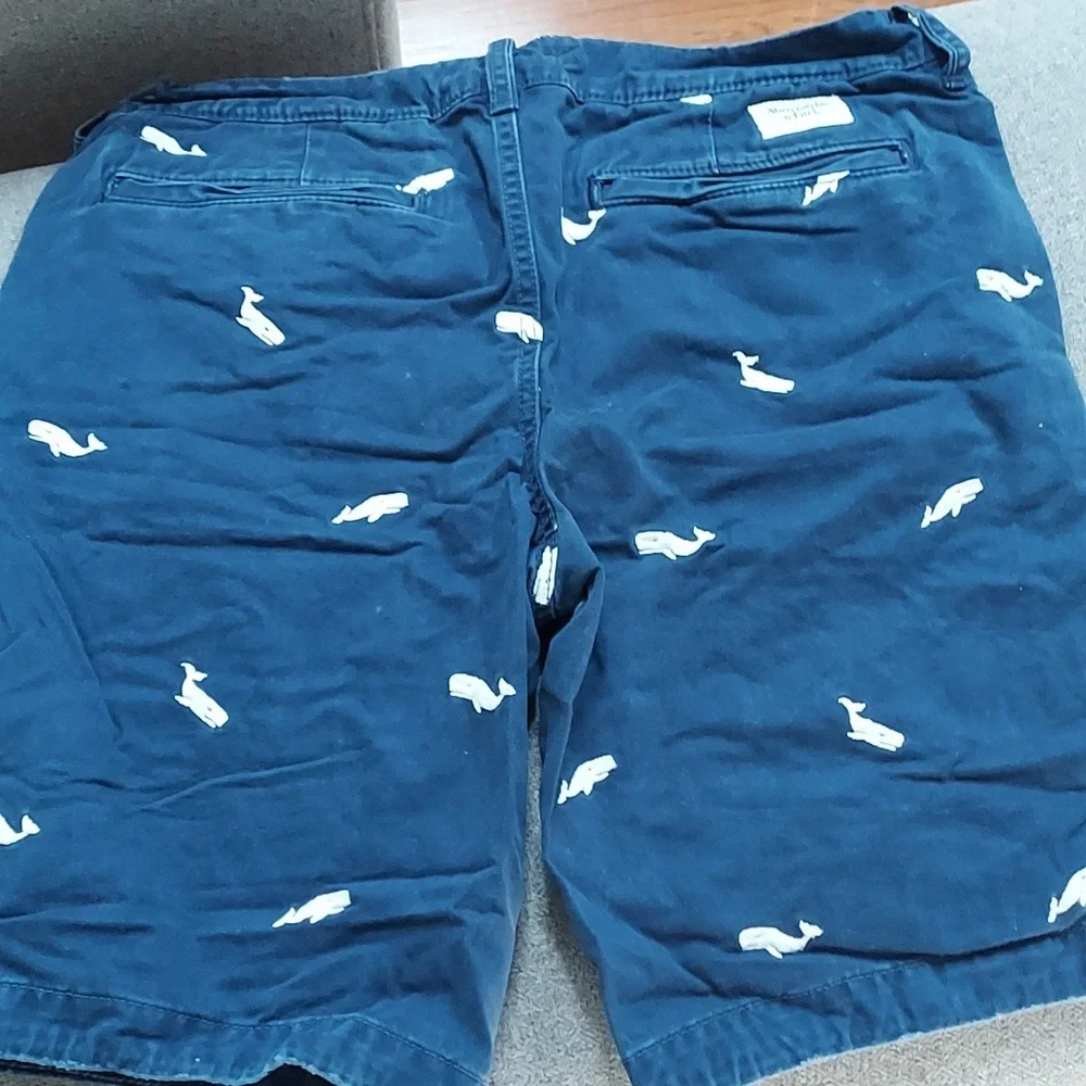 Men's Whale Shorts